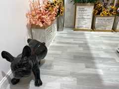 -肆兮眼镜·蔡司·徕卡战略合作店(大坪店)