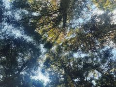 -山王坪喀斯特国家生态公园