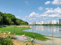 -南宁南湖公园