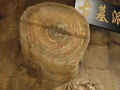 -风波庄(罍街分舵)