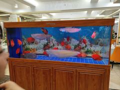 -明香海鲜酒家(华强北店)