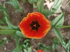 -长春公园(普阳街道)