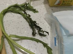 -龍歌自助小火锅(李沧顺和汇店)