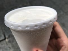 -洪馨椰子