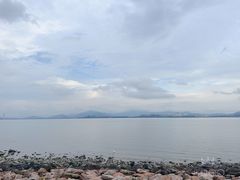 -深圳湾公园(南山区)