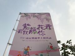 -嘉定紫藤园