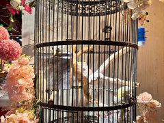 -清真·京华源铜锅涮肉(丰庆店)