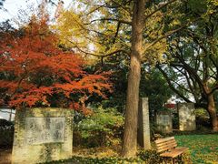 -上海醉白池公园