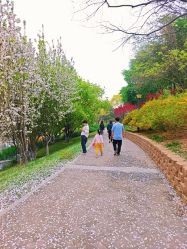 -大望京儿童游乐场