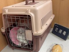 -联合动物医院(光谷诊疗中心)