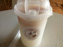 -Husky Go! 哈士奇体验馆·宠物咖啡厅狗咖