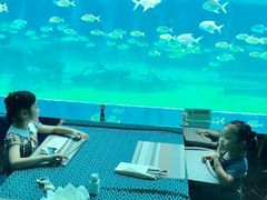 -瑞德姆美人鱼海底演艺主题餐厅(亚龙湾店)
