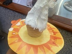 -野人先生Gelato(上海长宁龙之梦店)