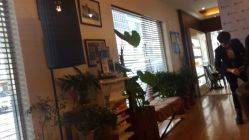 android_upload_pic-红人馆造型世爵国际