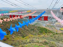 -铜川市金锁关石林
