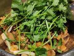 -九道菜有鸡鱼头(石鼓路店)