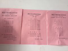 -南汇桃花村