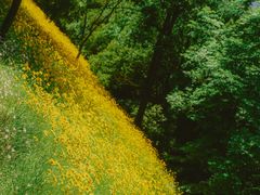 -西湖风景区-江洋畈生态公园