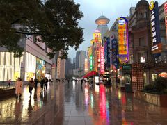 -上海南新雅大酒店