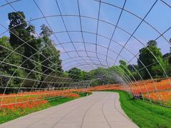 -三圣花乡旅游区