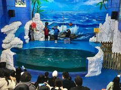 -左海海底世界