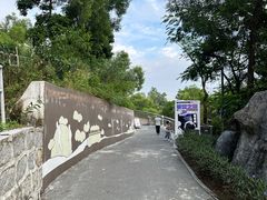 -板樟山森林公园