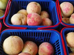 -宾湖农庄·农场特色(太湖龙之梦店)