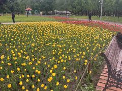 -长春公园(普阳街道)