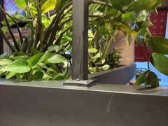 -管氏翅吧(地安门创始店)
