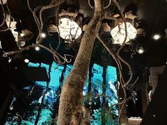 -桂满陇·海市蜃楼·黑金(国金店)