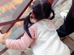 -武汉紫薇都市田园