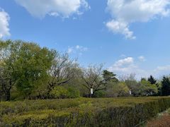 -长春市南湖公园