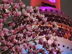 -东方明珠广播电视塔