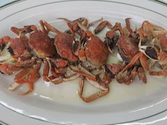 -八仔大富楼·河鲜(西江店)