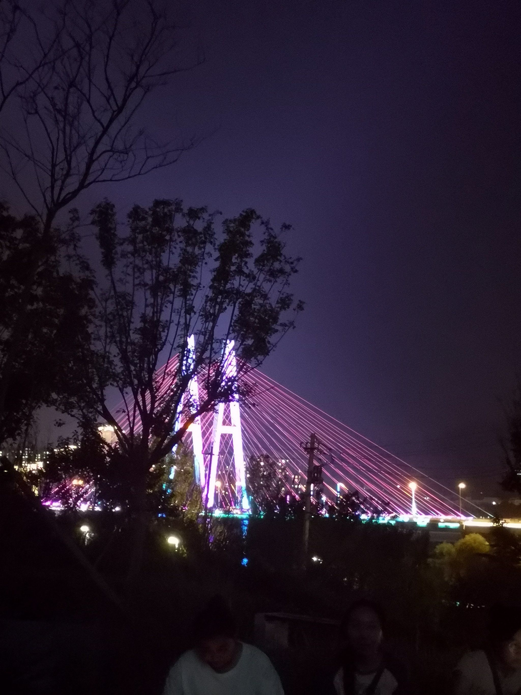 夜景绚丽多彩～夜游丹山公园