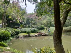 -火炉山森林公园