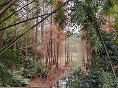 -广州市白云山风景名胜区