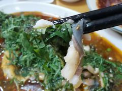 -老字号怡玺·藿香雅鱼(20年雅安店)