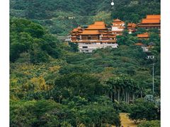 -深圳市中科院仙湖植物园