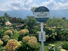 -猫米花园