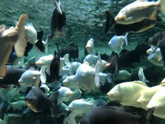 -成都浩海立方海洋公园