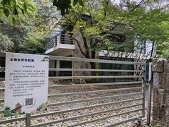 -西湖风景区-江洋畈生态公园