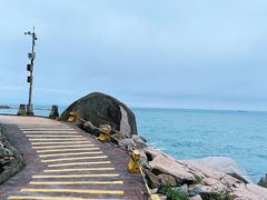 -广东惠东海龟国家级自然保护区