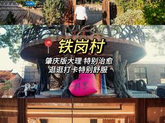 -鼎香皇高佬苏裹蒸粽
