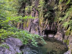 -关门山森林公园