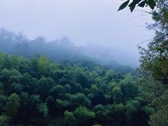 -黄山翡翠谷景区