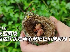 -长洲岛