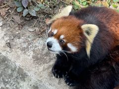 -昆明动物园