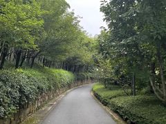 -苏州环秀晓筑养生度假村