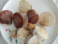 -捕渔人家海鲜私房菜(仙螺岛店)